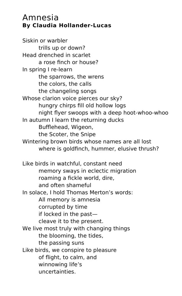 Amnesia – Poem
