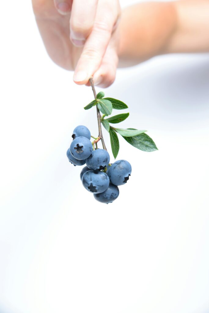 Blueberries Are Fabulous