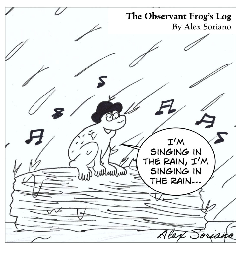 The Observant Frog’s Log – November