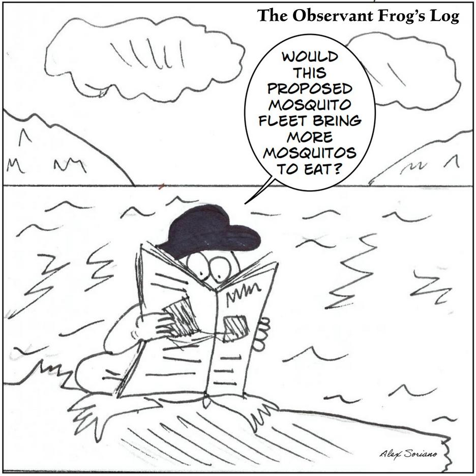 The Observant Frog’s Log