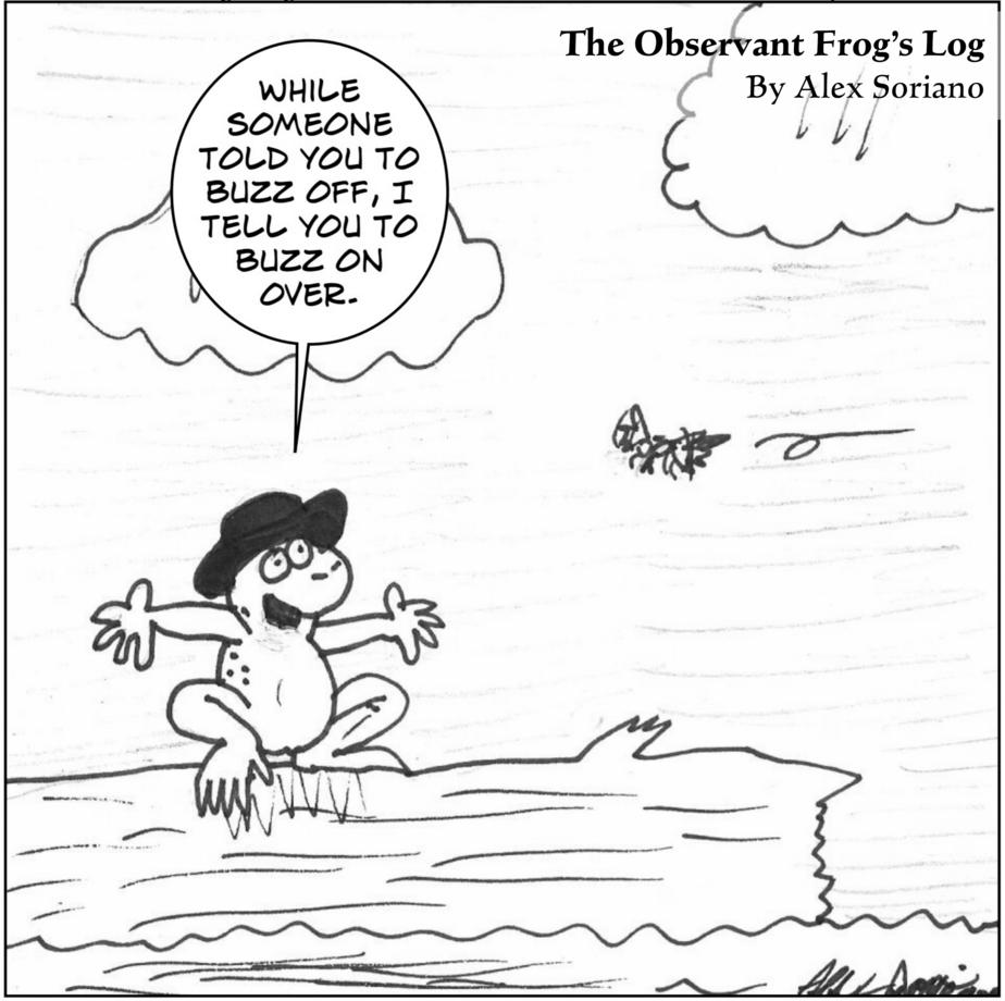 The Observant Frog’s Log