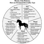 Vashon’s Animal Massage School, and a Cosmic Retreat for the Modern-Day Cowgirl