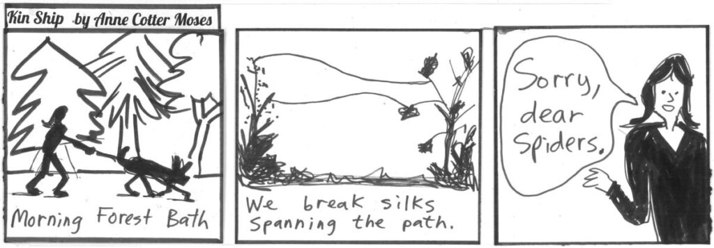 Kin Ship