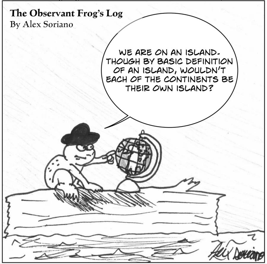 The Observant Frog’s Log