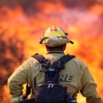 Felons and Fires