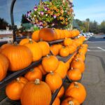 Treat or Trick