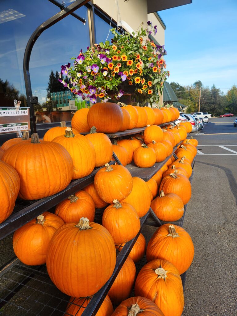 Treat or Trick