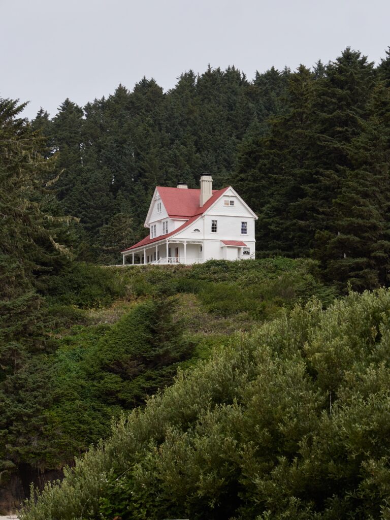 The Pursuit of Happiness