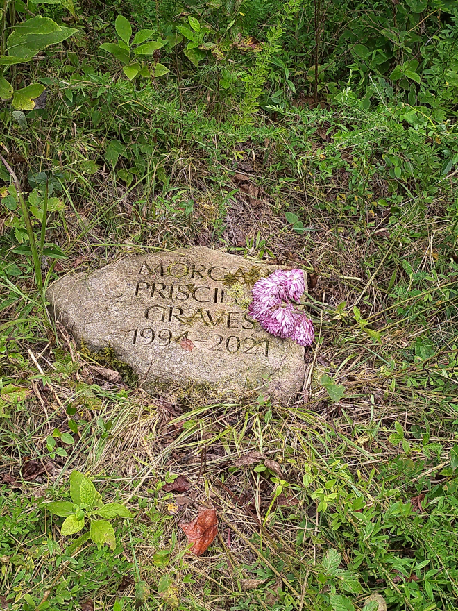 “Just Throw Me in the Ground”