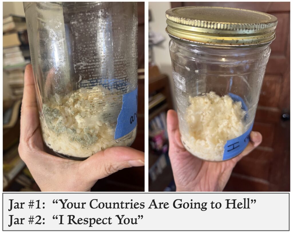 What Language Can Do: A Student’s Experiment