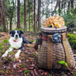 Lyndsey's Conservation Conversation