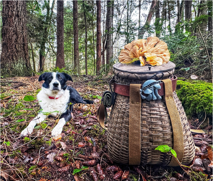 Lyndsey’s Conservation Conversation