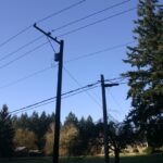 PSE and Double Poles