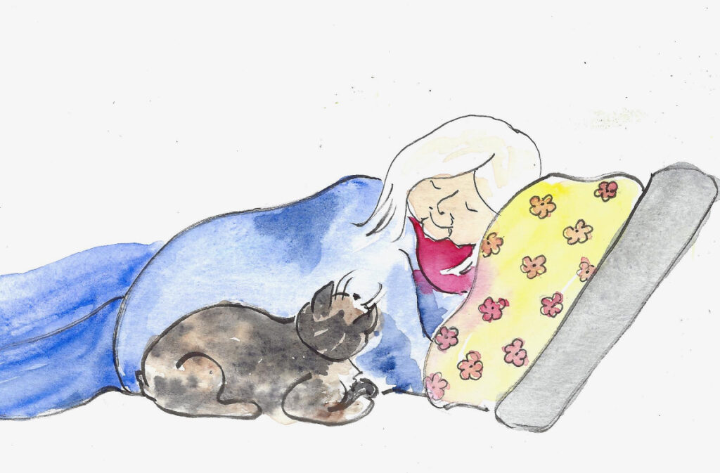 Pets are People Too
