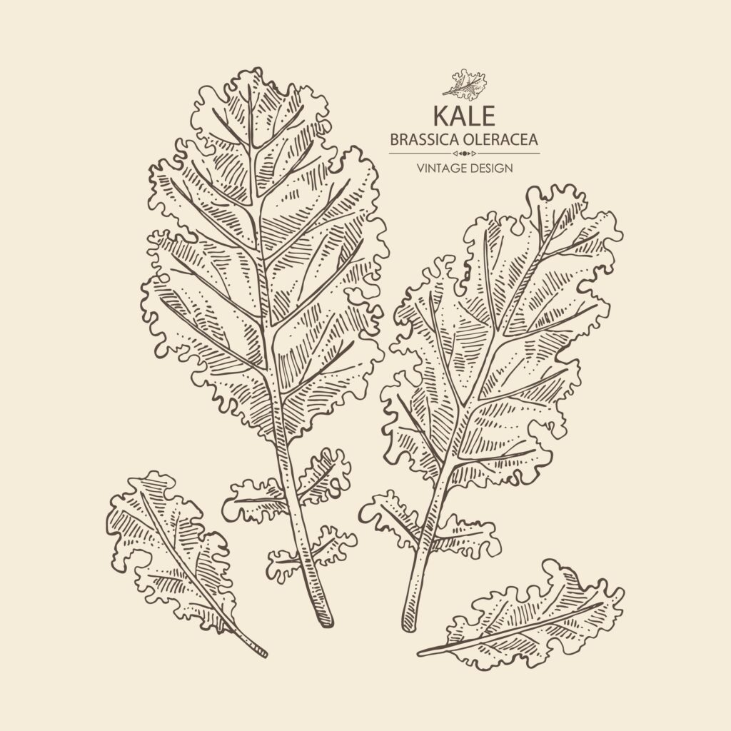 Kale Slaw!