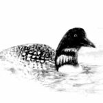 Two Poems (and More) From Birdbrains